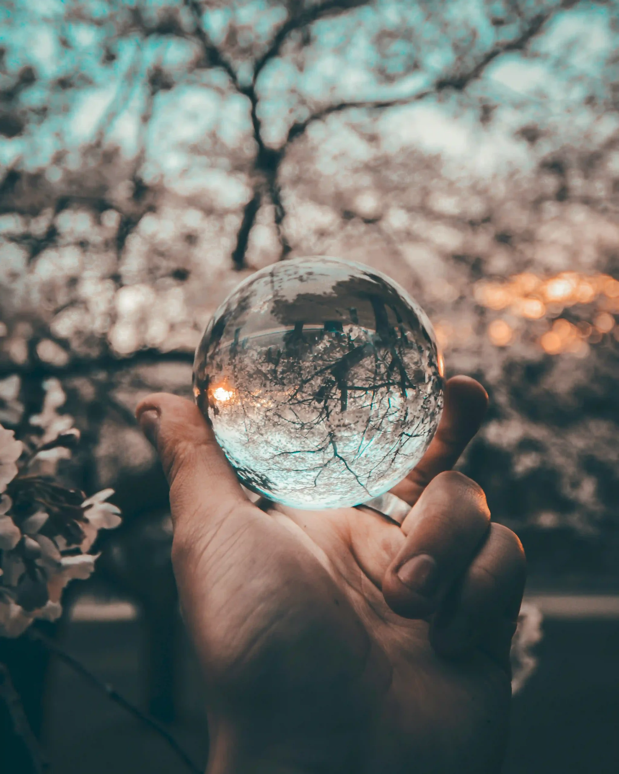 A clear glass ball reflecting a blurred landscape, evoking the way EMDR therapy helps reprocess how past experiences are held in the present.